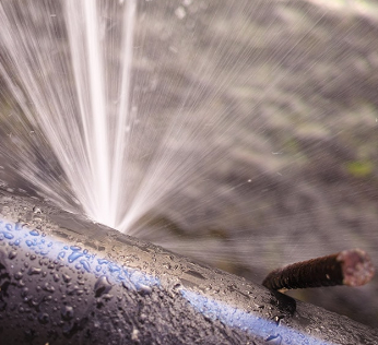 Image d'illustration